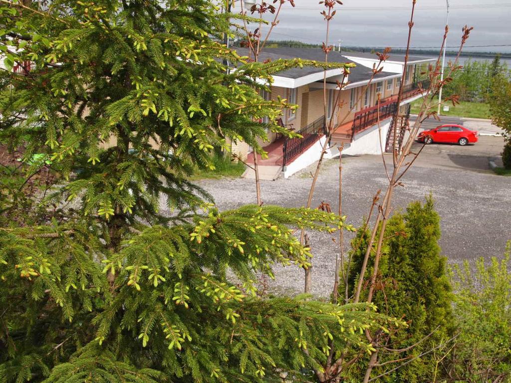 Motel Lyse Rimouski Bagian luar foto